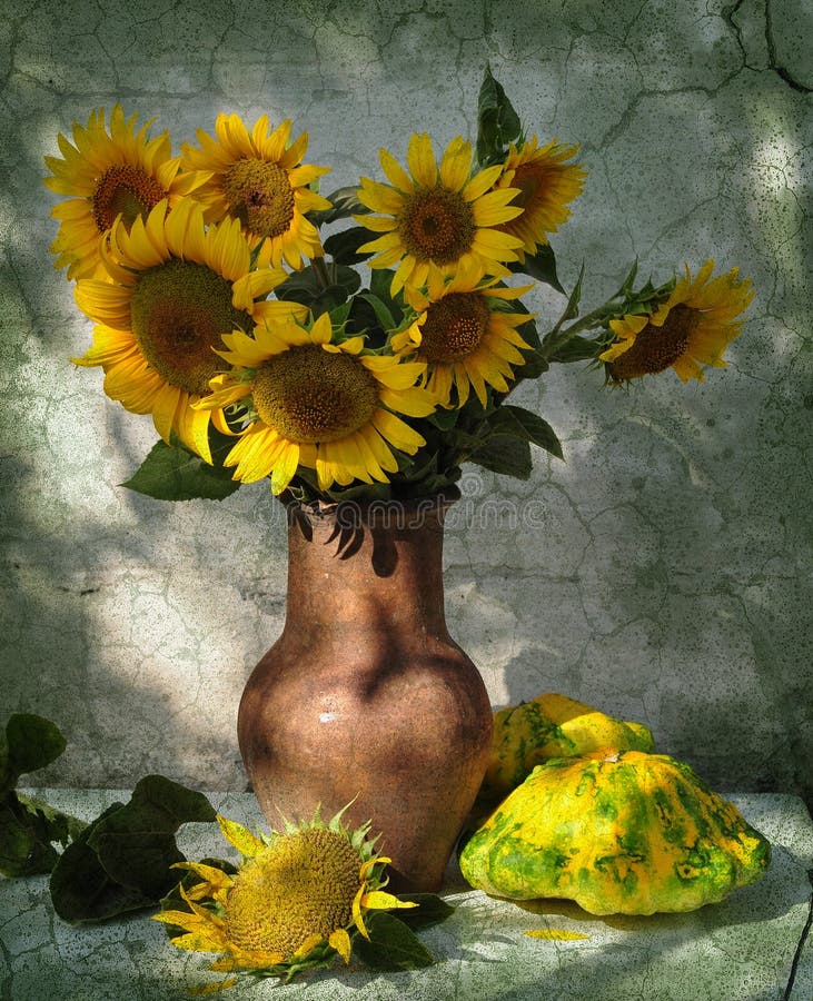 Still life with patisons and sunflowers