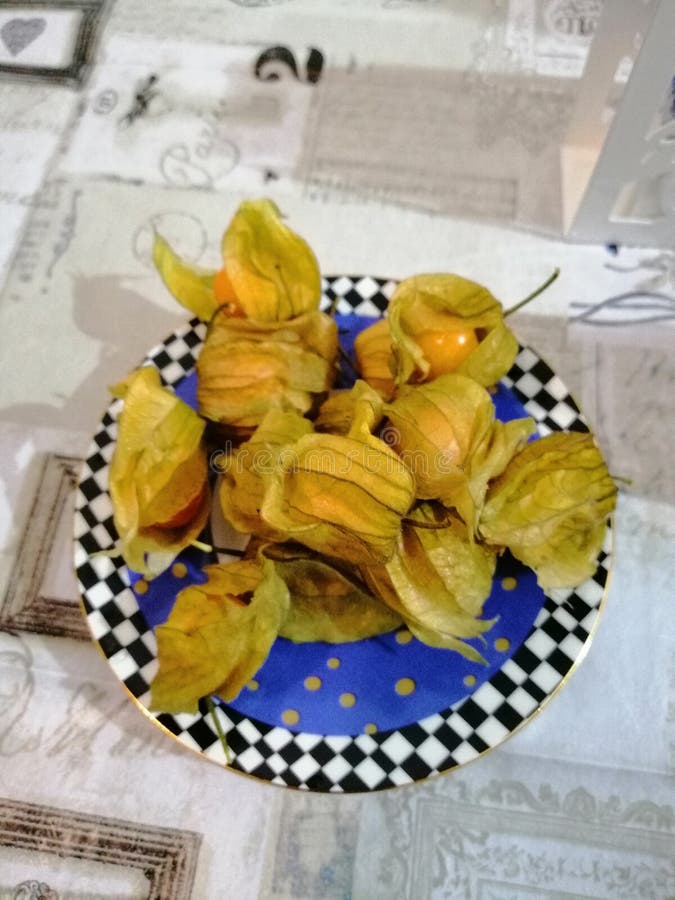 Still life plates with physalis royalty free stock images Still life plates with physalis royalty free stock images