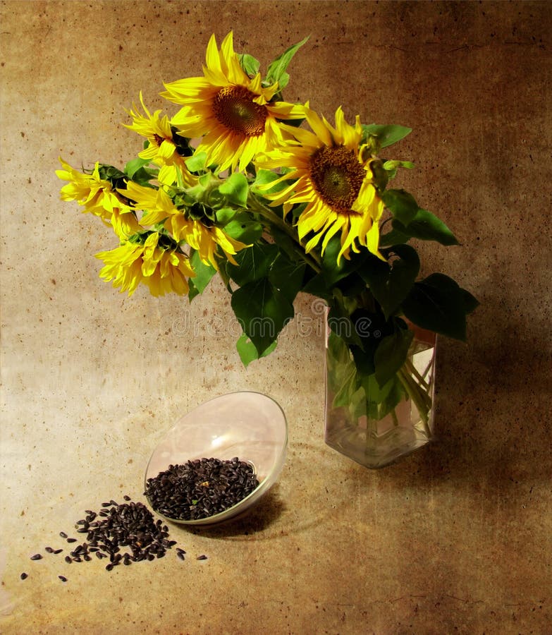 Still-life with sunflowers and seeds