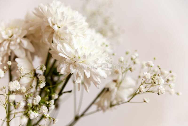 Still Life of White Flowers Stock Image Image of bouquet, garden