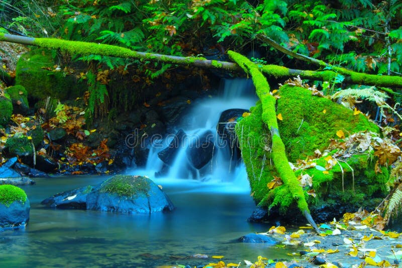 Still pools opn an Autumn day.