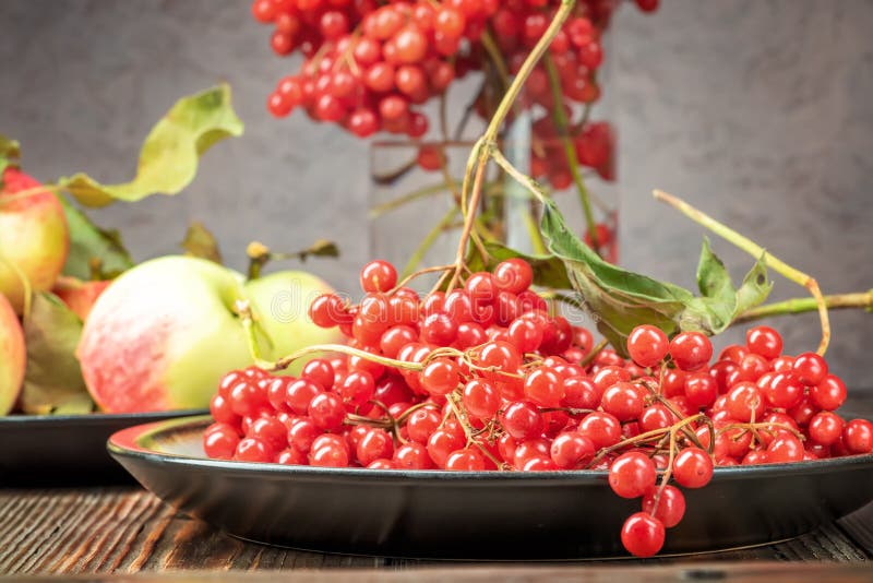 Stillevenbessen van een viburnum en tuin seizoengebonden appelen in p royalty-vrije stock afbeeldingen Stillevenbessen van een viburnum en tuin seizoengebonden appelen in p royalty-vrije stock afbeeldingen