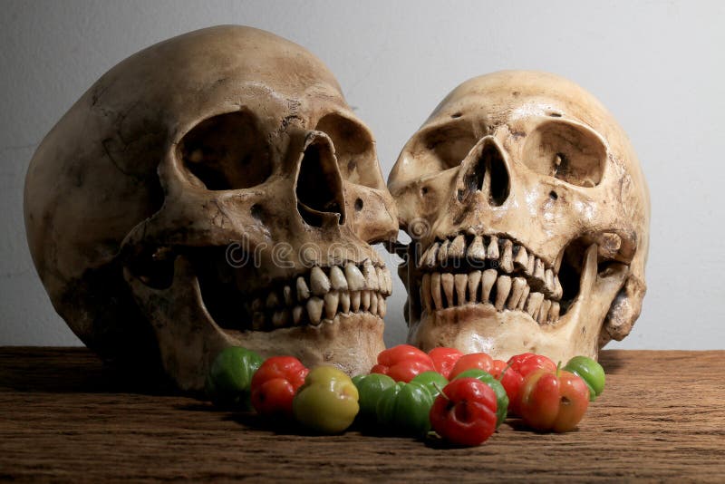 Stillevenfotografie met menselijke schedel en verse Kersen in oogsttijd op houten lijst met muurachtergrond stock fotografie Stillevenfotografie met menselijke schedel en verse Kersen in oogsttijd op houten lijst met muurachtergrond stock fotografie