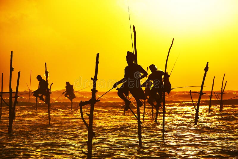 Sagome tradizionali dei pescatori al tramonto vicino a Galle in Sri Lanka.