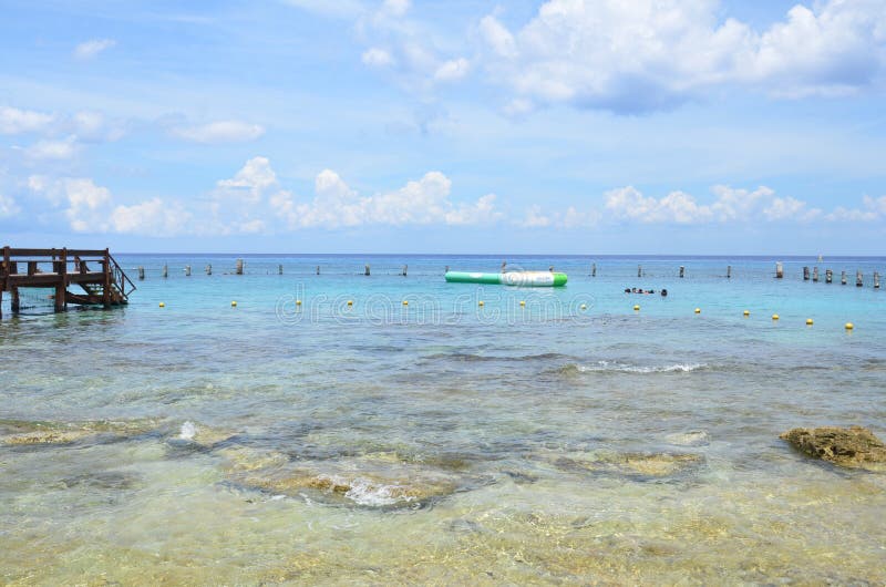 Sting Ray Beach Cozumel, Mexiko stockbild Sting Ray Beach Cozumel, Mexiko stockbild