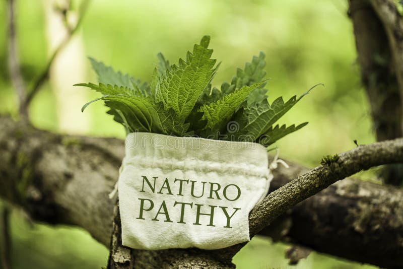 Stinging Nettle with the word Naturopathy