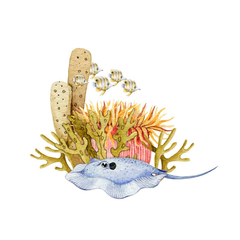 Illustration 20x20 Coral