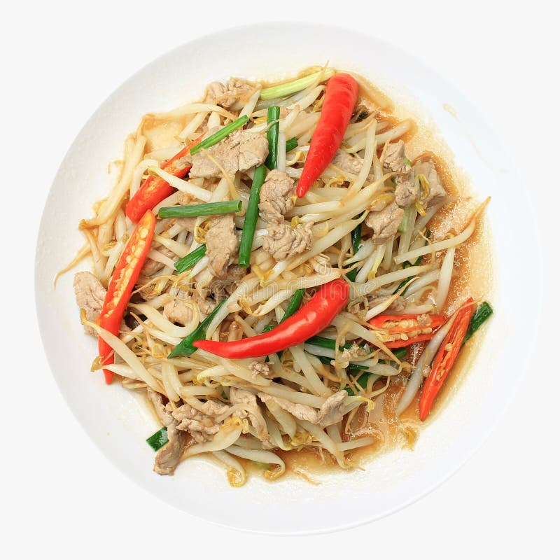 Stir-fried bean sprouts stock photo. Image of sprout, moyashi - 2302320