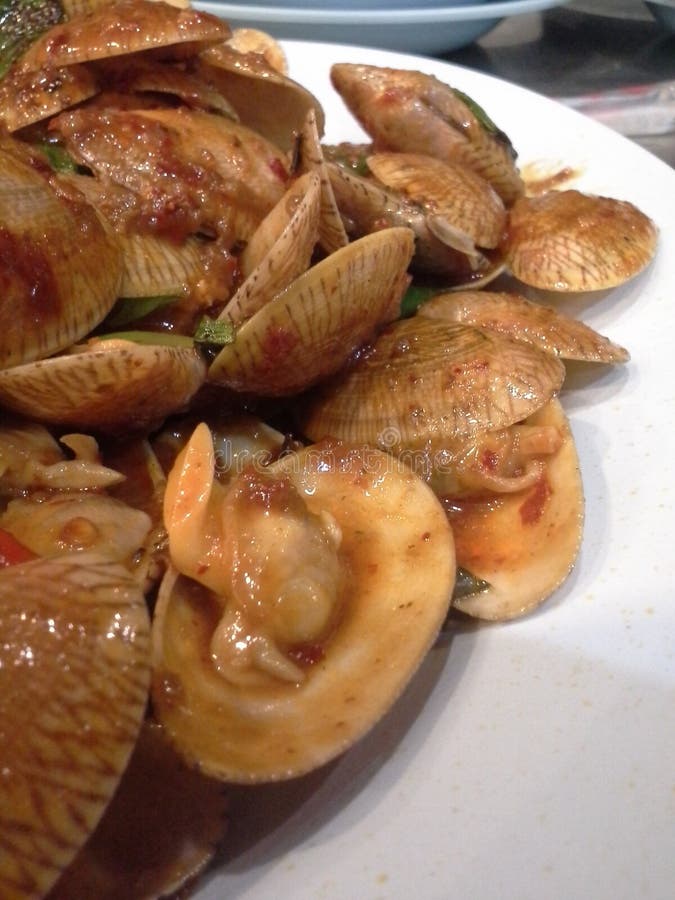 STIR FRIED CLAMS with ROASTED CHILI PASTE Stock Photo Image of paste