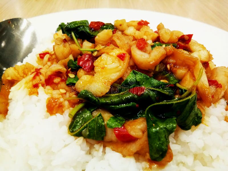 Stir fried fish with basil stock photo. Image of background 159326356