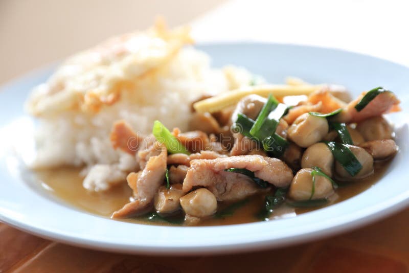 Stir Fried Oyster Sauce with Pork and Rice with Fried Egg on Top , Thai