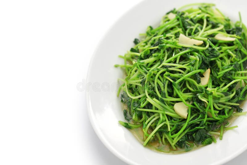 Stir fried pea shoots with garlic, chinese cuisine, copy space