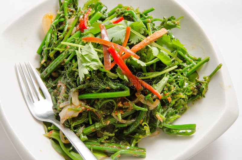 Stir fried vegetable stock image. Image of vegetarian - 38066517