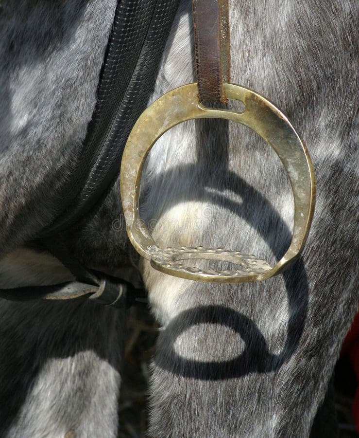 Stirrup1