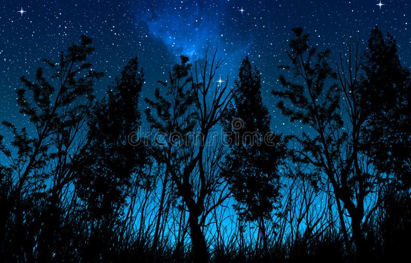 Stjärnklar himmel för natt med en mjölkaktig väg och stjärnor, i förgrundsträden och buskarna av skogområde