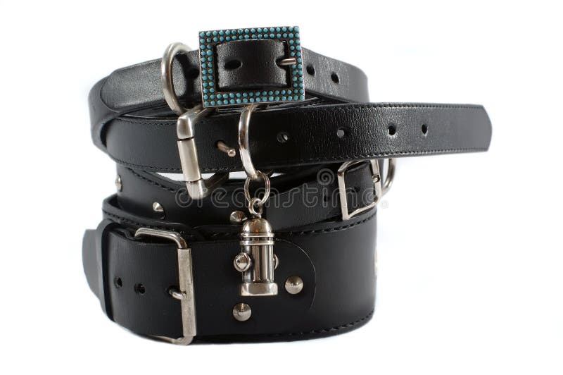 Stock of black dog collars stock photo. Image of belong 1113156