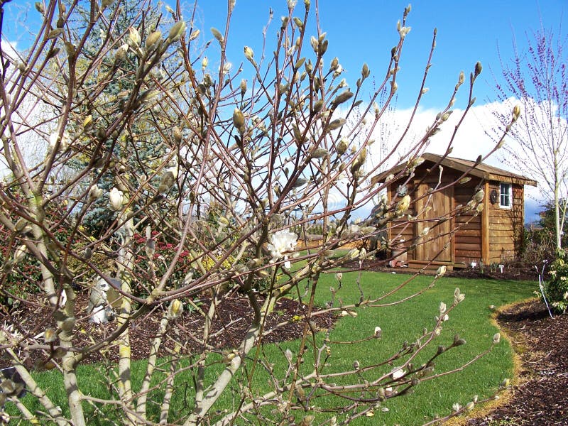 Stock image of Garden Potting Shed