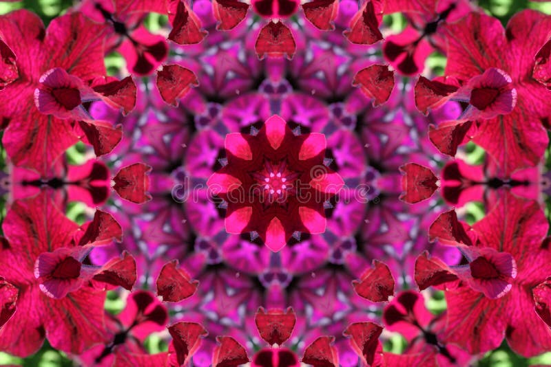 Stock image of Petunia Kaleidoscope