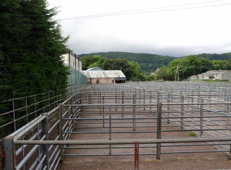 Stock yards, cattle, empty stock image Stock yards, cattle, empty stock image