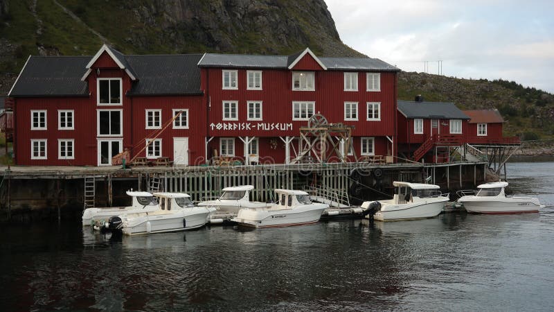 stockfish 886006 Stock Photo at Vecteezy