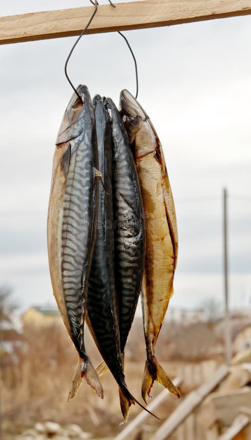 Stockfish Is Unsalted Fish Especially Cod Dried By Cold Air Stock