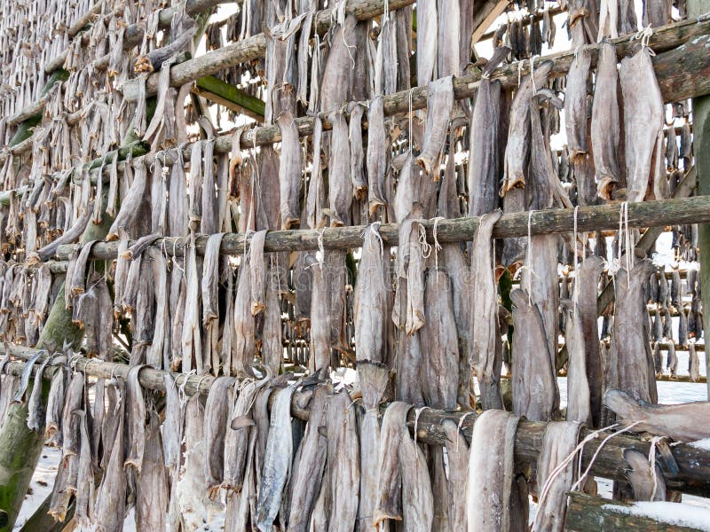 1,003 Stockfish Stock Photos, High-Res Pictures, and Images