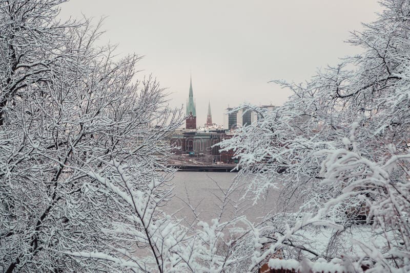 Stockholm City and two church towers seen through the woods on the other side, Sweden