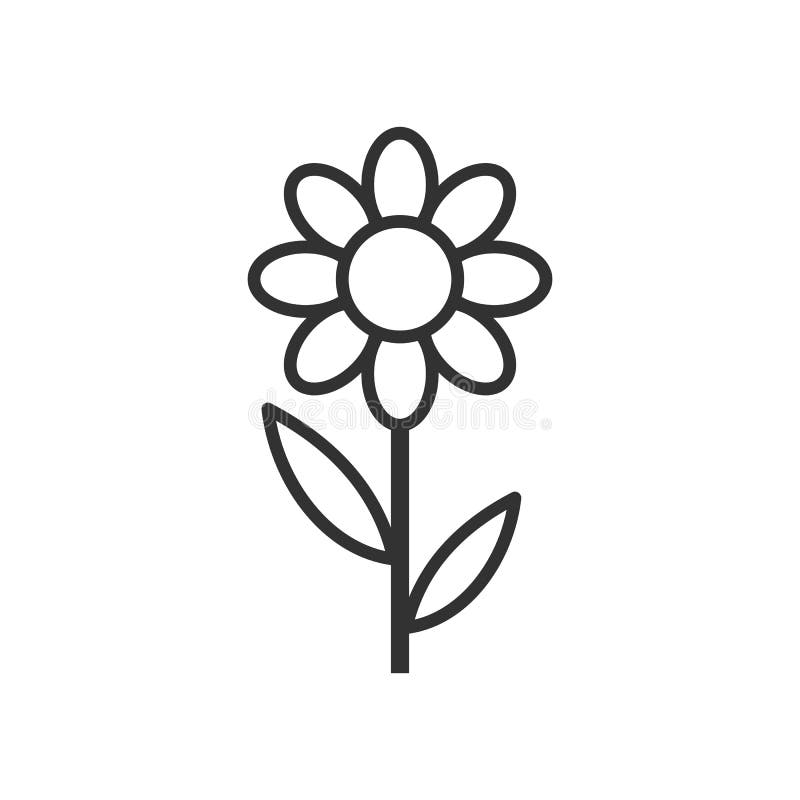 Stokrotka kwiatu konturu Płaska ikona na bielu