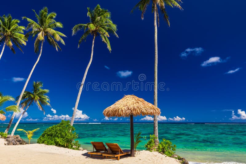 Stol för strand två under paraplyet med palmträd, Samoa fotografering för bildbyråer Stol för strand två under paraplyet med palmträd, Samoa fotografering för bildbyråer