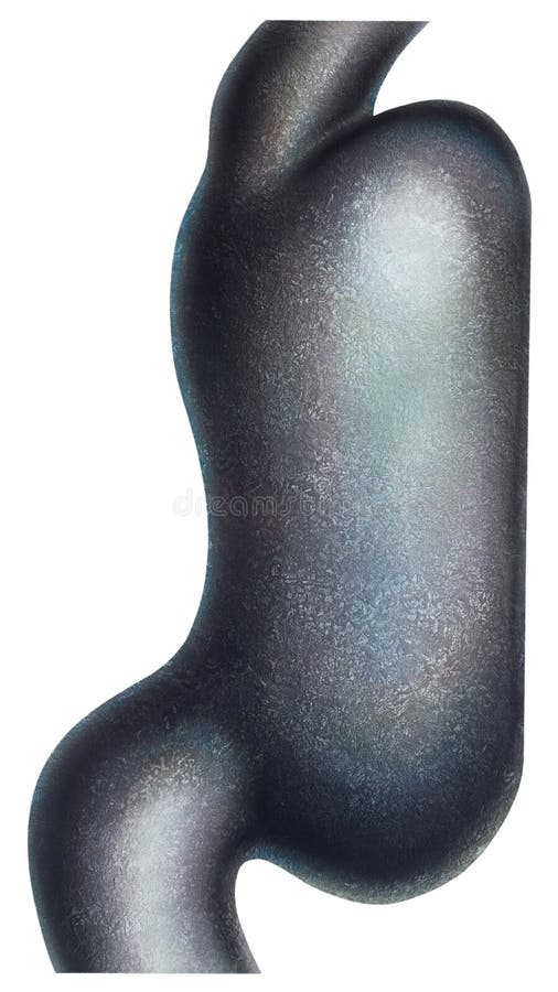 Stomach Cast Iron stock illustration. Illustration of digestive