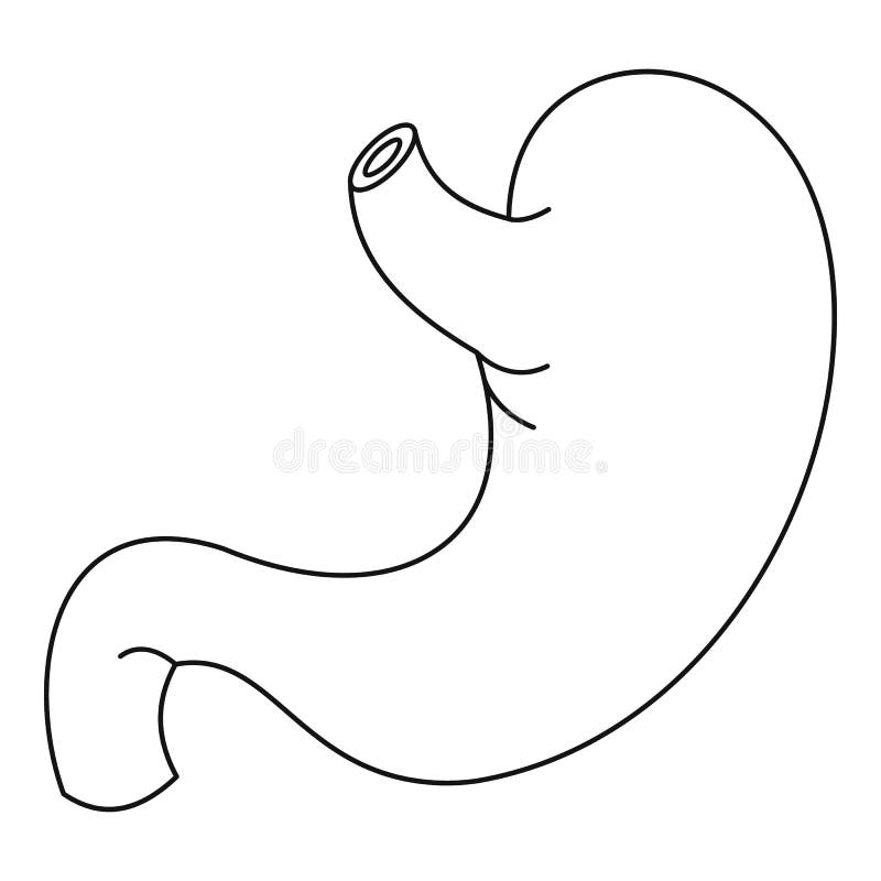 Stomach Icon, Outline Style Stock Vector - Illustration of anatomy ...