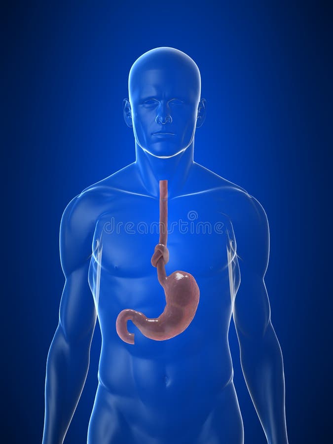 stomach tied in knots meaning