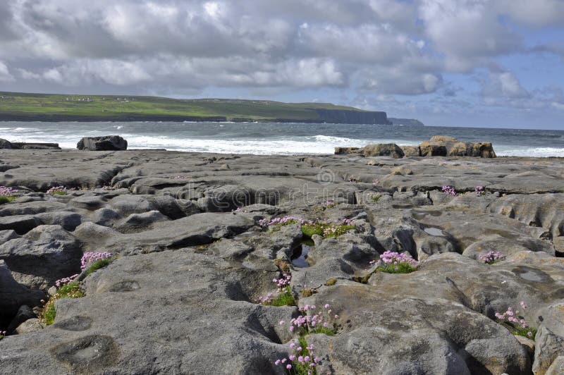 Stone beach next to sea