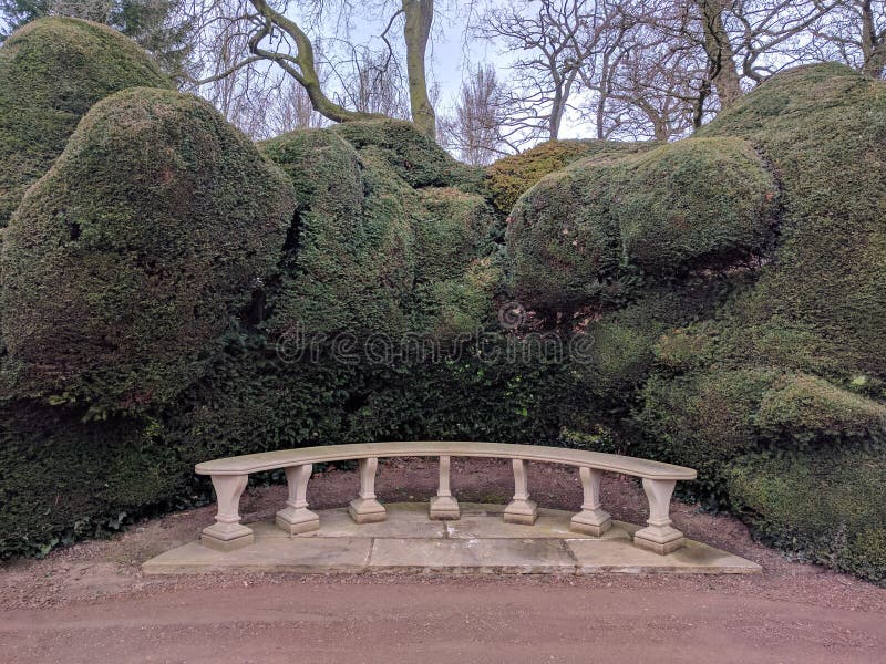 Stone Bench In Front Of A Cloud Pruned Yew Hedge Stock Image Image Of Round Tranquil 102105327