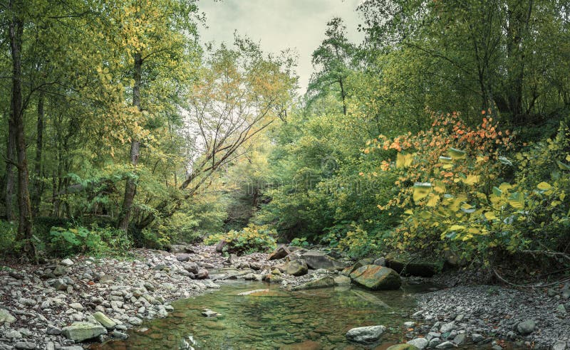 Stone blockages on the mountain river flowing through the forest