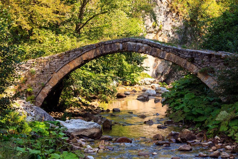 Stone Bridge Stock Image Image Of Reflect Park Garden 44951495