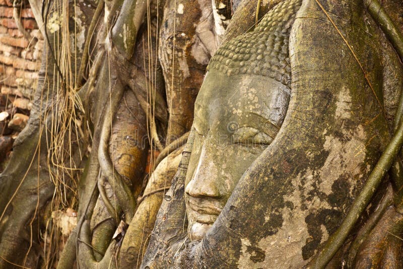 Stone Buddha Head