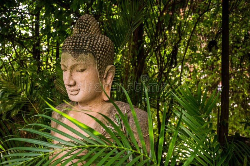 The stone Buddha statue in forest background