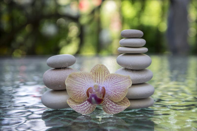 Stone cairn on green blurry background, light pebbles and stones, orchid blooming flower