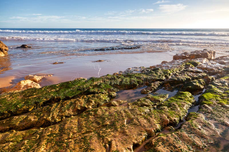 Stone coast covered with green moss, Atlantic coast, Algarve, Po