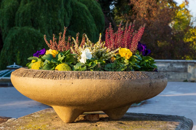 A stone container in which there are beautiful colorful spring flowers royalty free stock photos