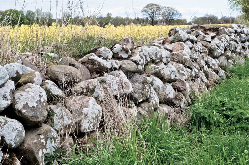 Stone fence stock photo. Image of barn, farm, aged, barrier - 24668762