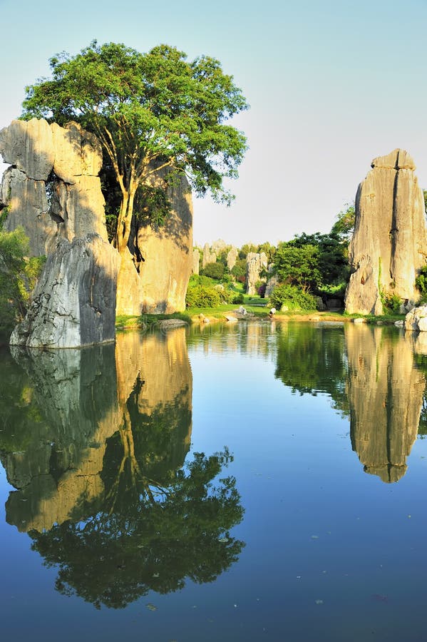 Stone forest