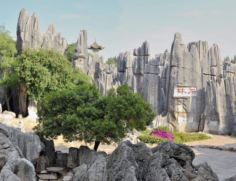 Stone forest