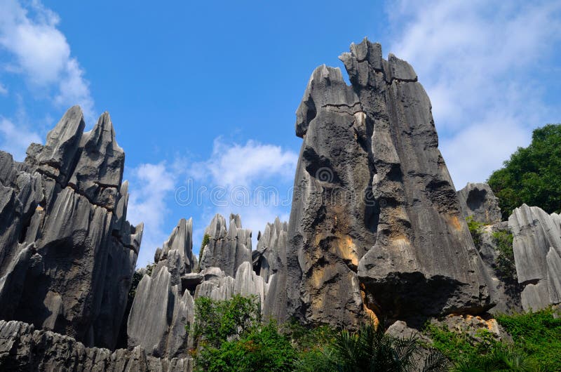 Stone forest and sky