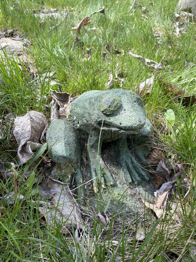 Stone frog statue fountain stock image. Image of park 252673797