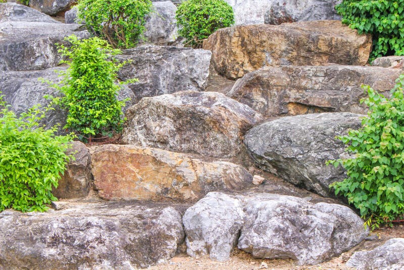 Stone groups with small tree,Natural patterns background royalty free stock photography Stone groups with small tree,Natural patterns background royalty free stock photography