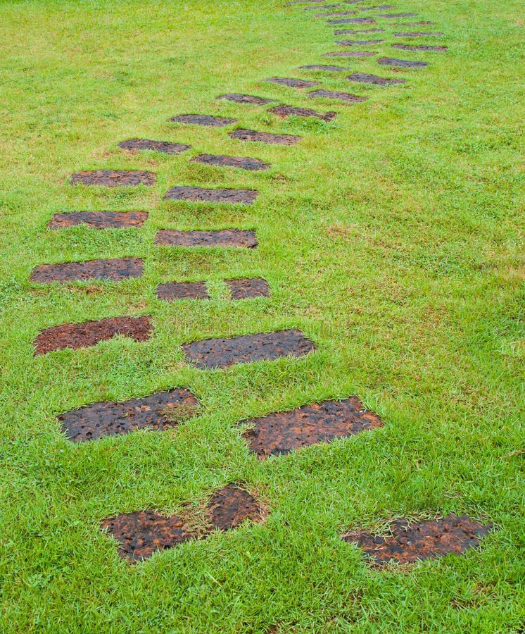 Stone path with green grass