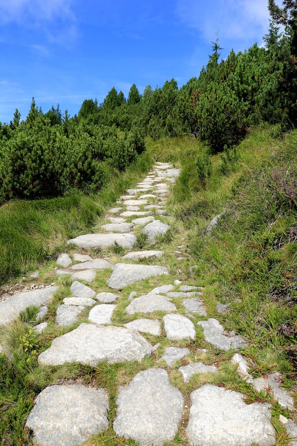 Stone pathway in green forest in mountains