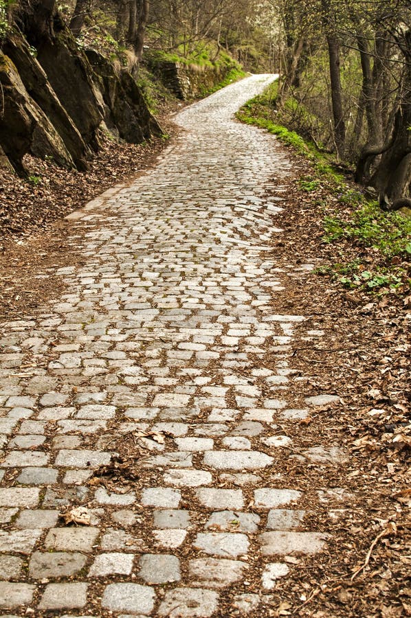 Stone paved road in forest stock image. Image of moss 55542069